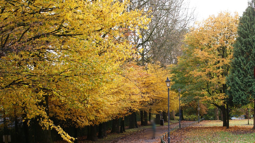 Jesień w Pontypridd