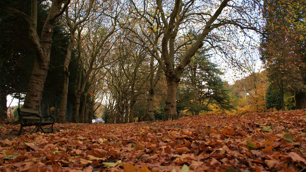 Jesień w Pontypridd